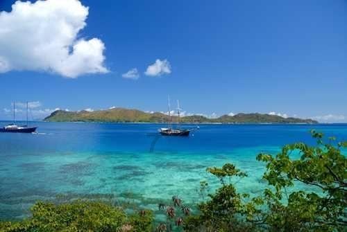 奥莉的夏威夷之旅